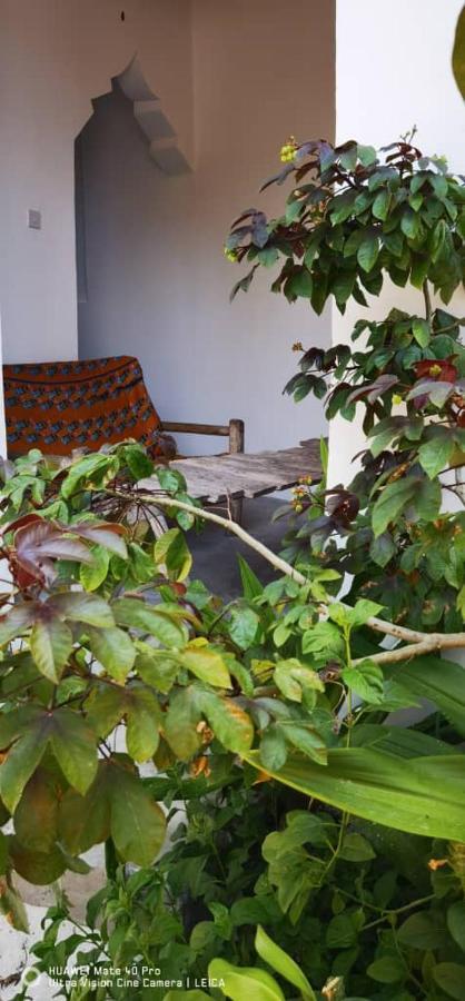 Wow Beach House Jambiani  Exterior photo